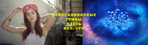 ПСИЛОЦИБИНОВЫЕ ГРИБЫ Аркадак