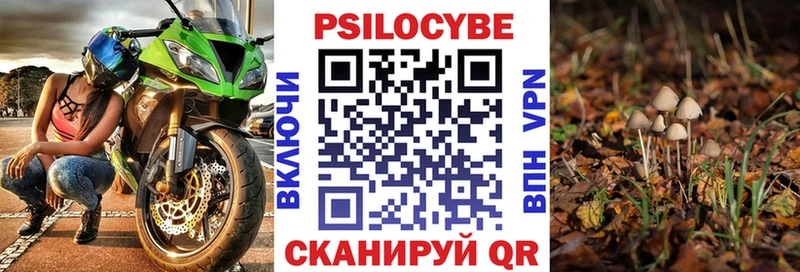 Галлюциногенные грибы Psilocybine cubensis  MEGA ссылки  Буйнакск 